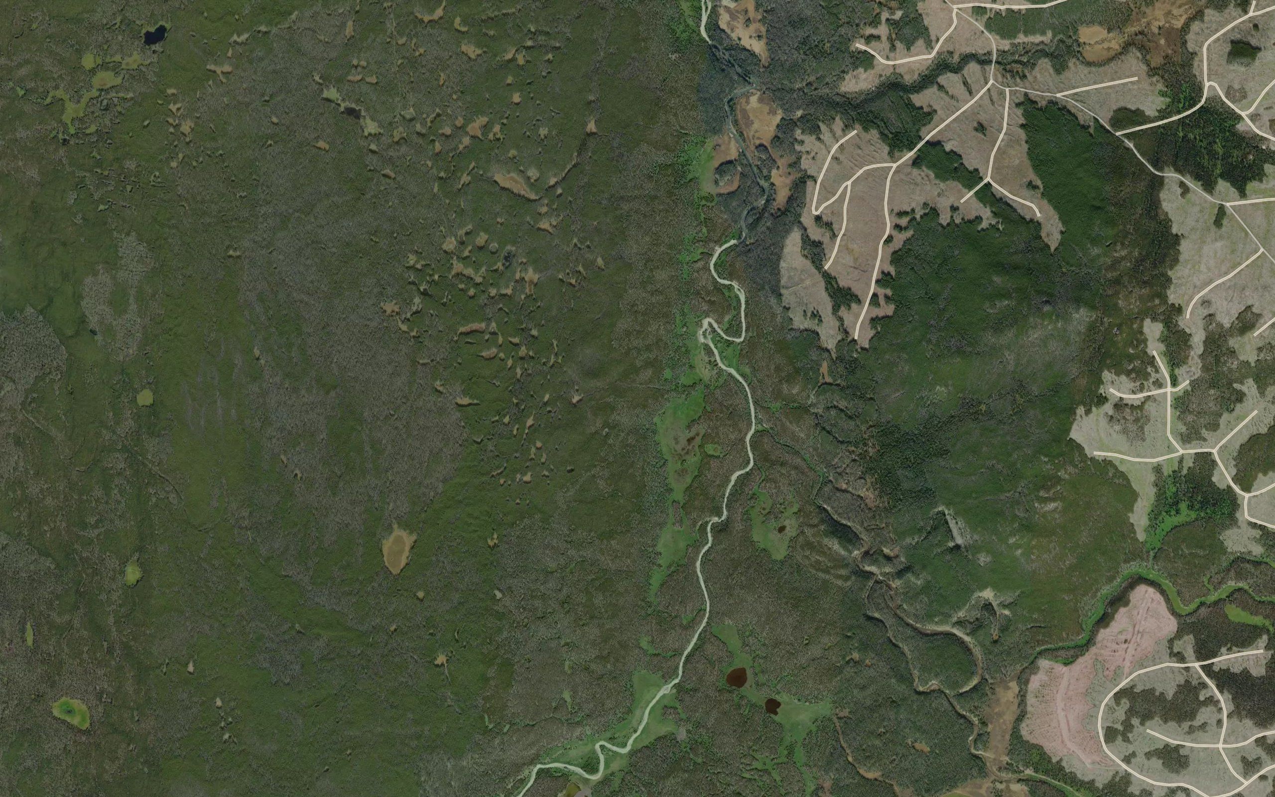 Hungry Valley Creek