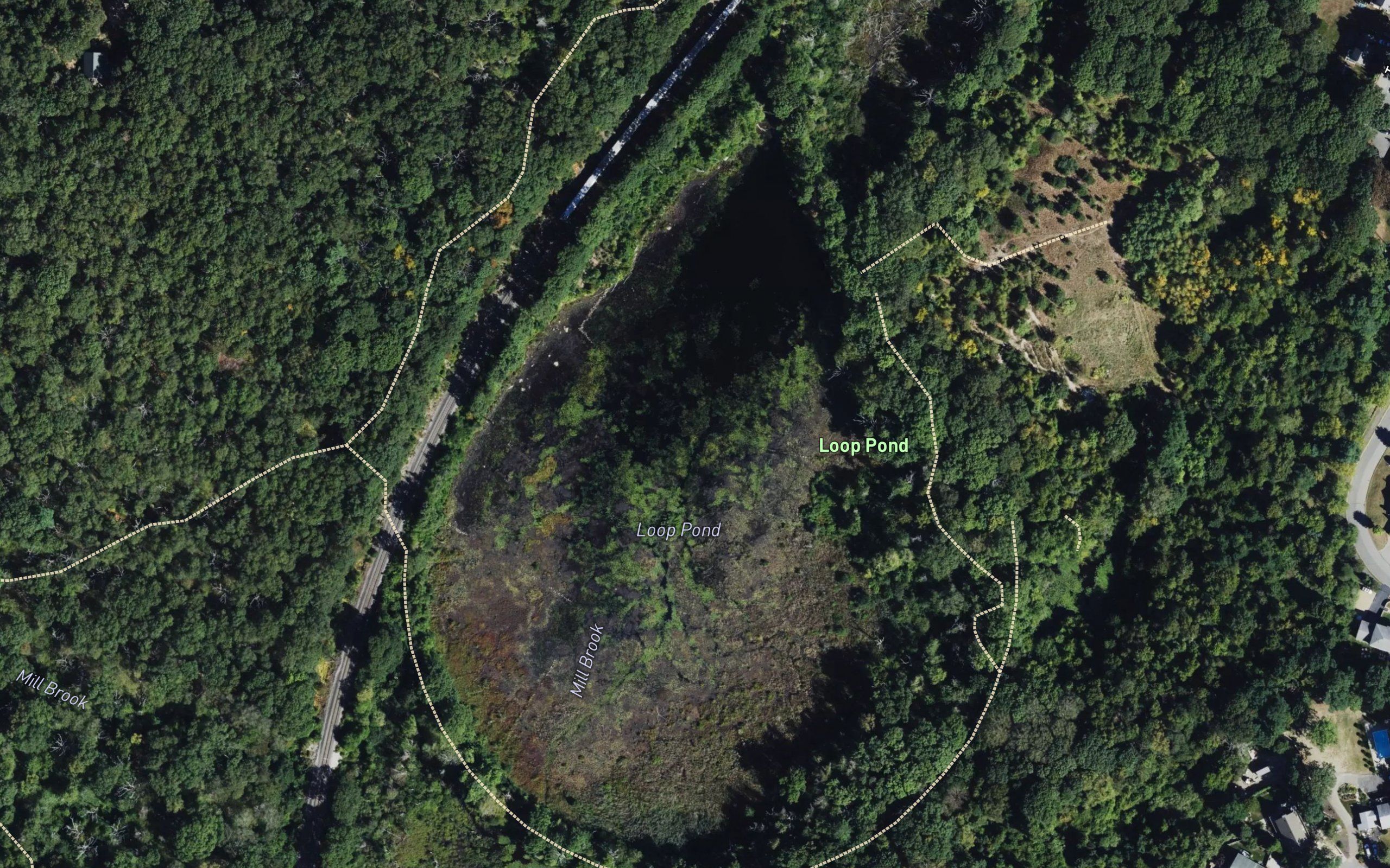 Loop Pond