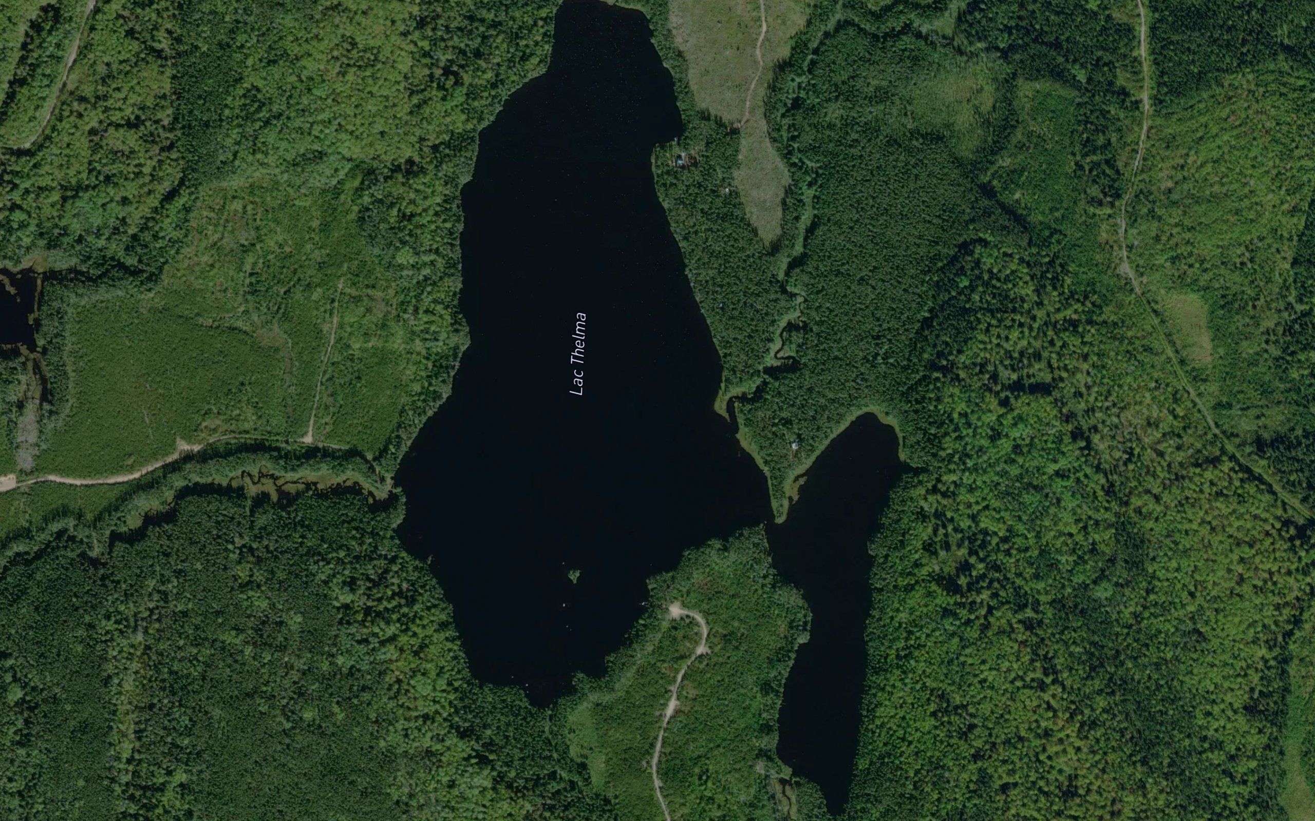Lac Thelma