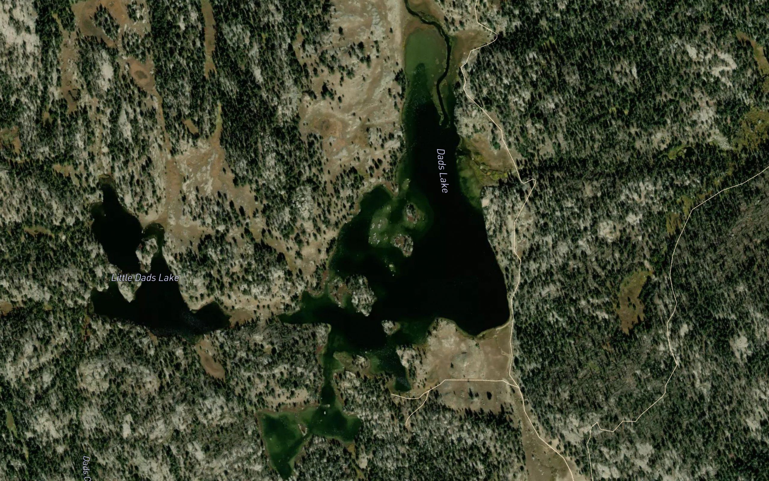 Dads Lake