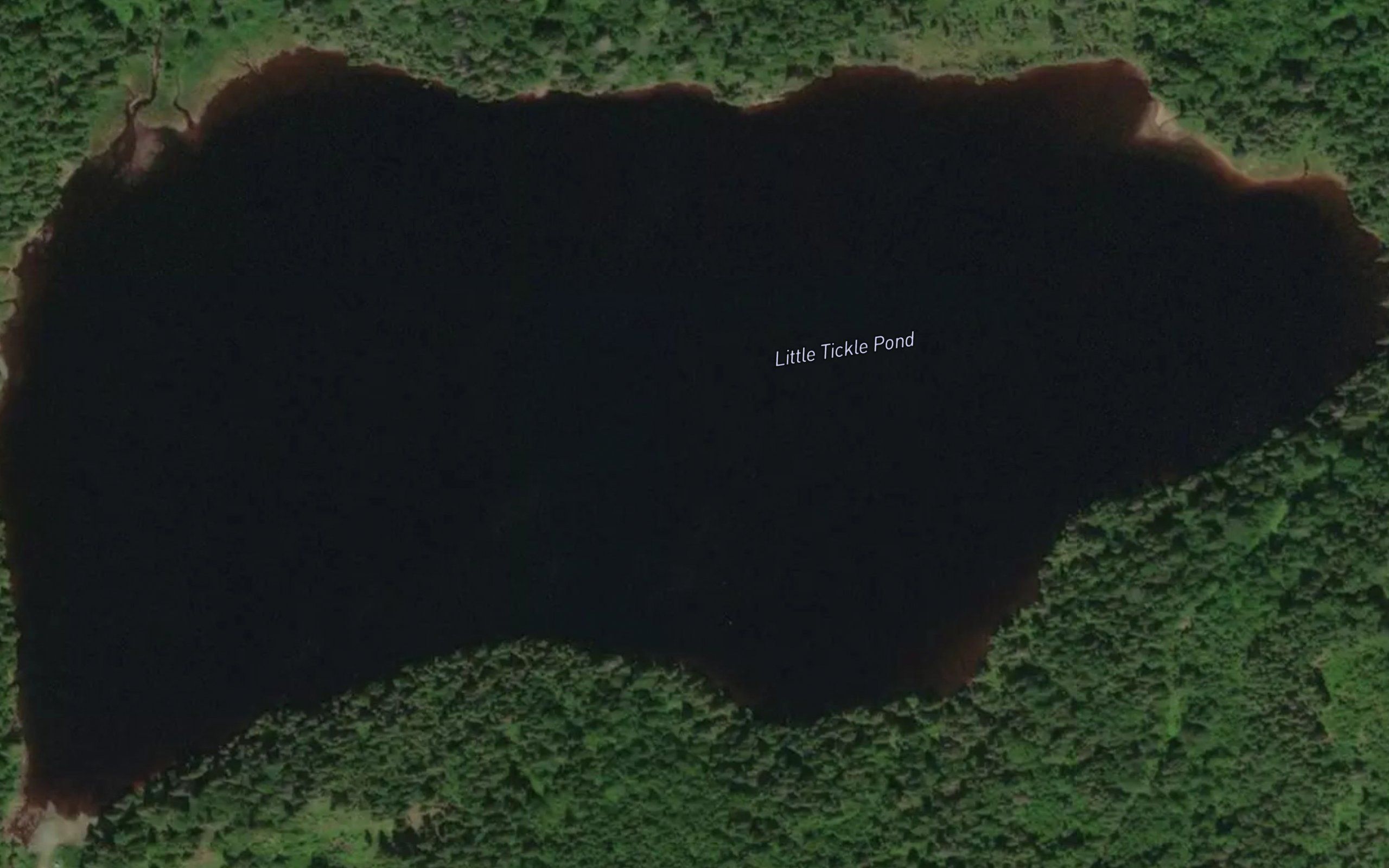 Little Tickle Pond