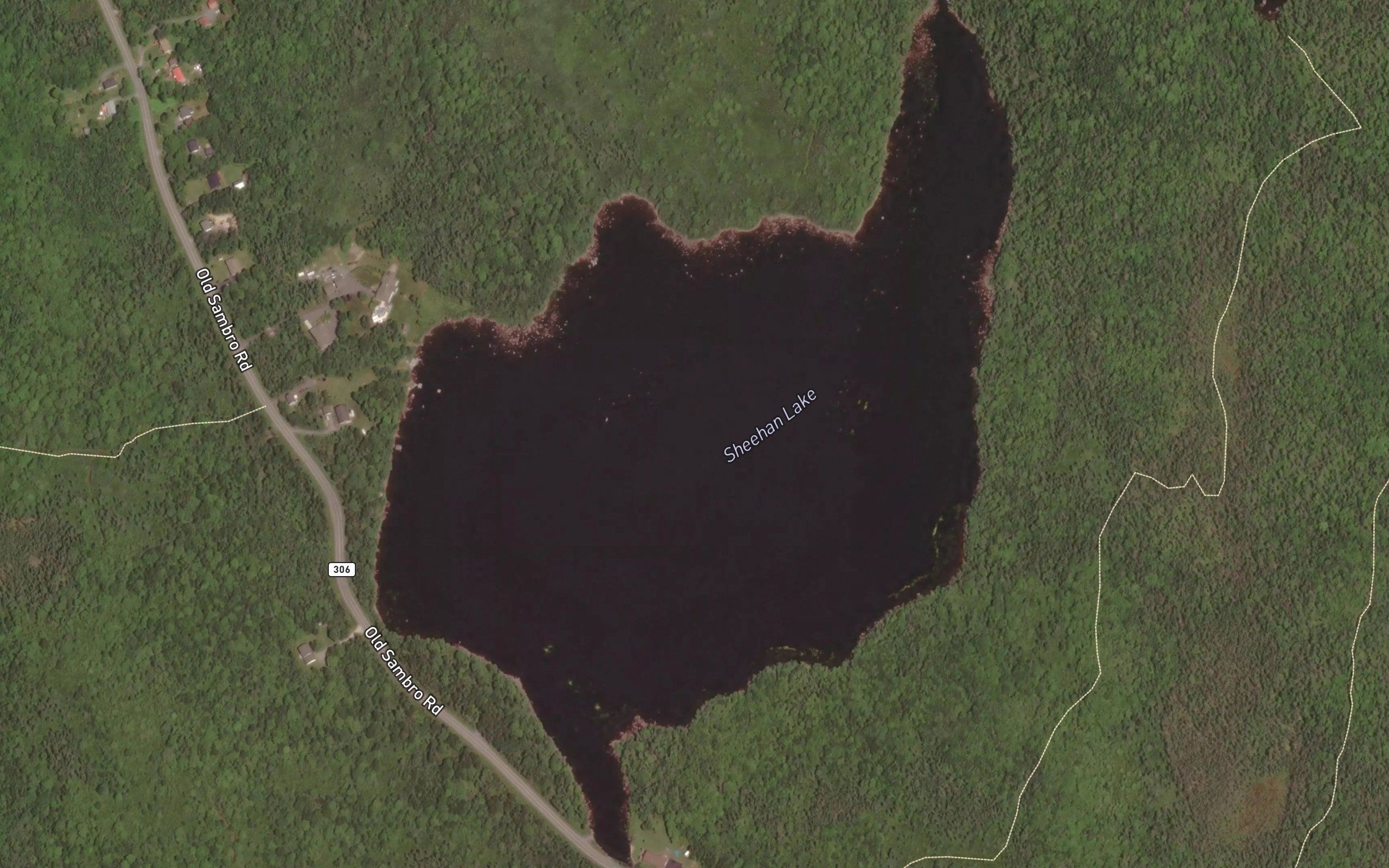 Sheehan Lake
