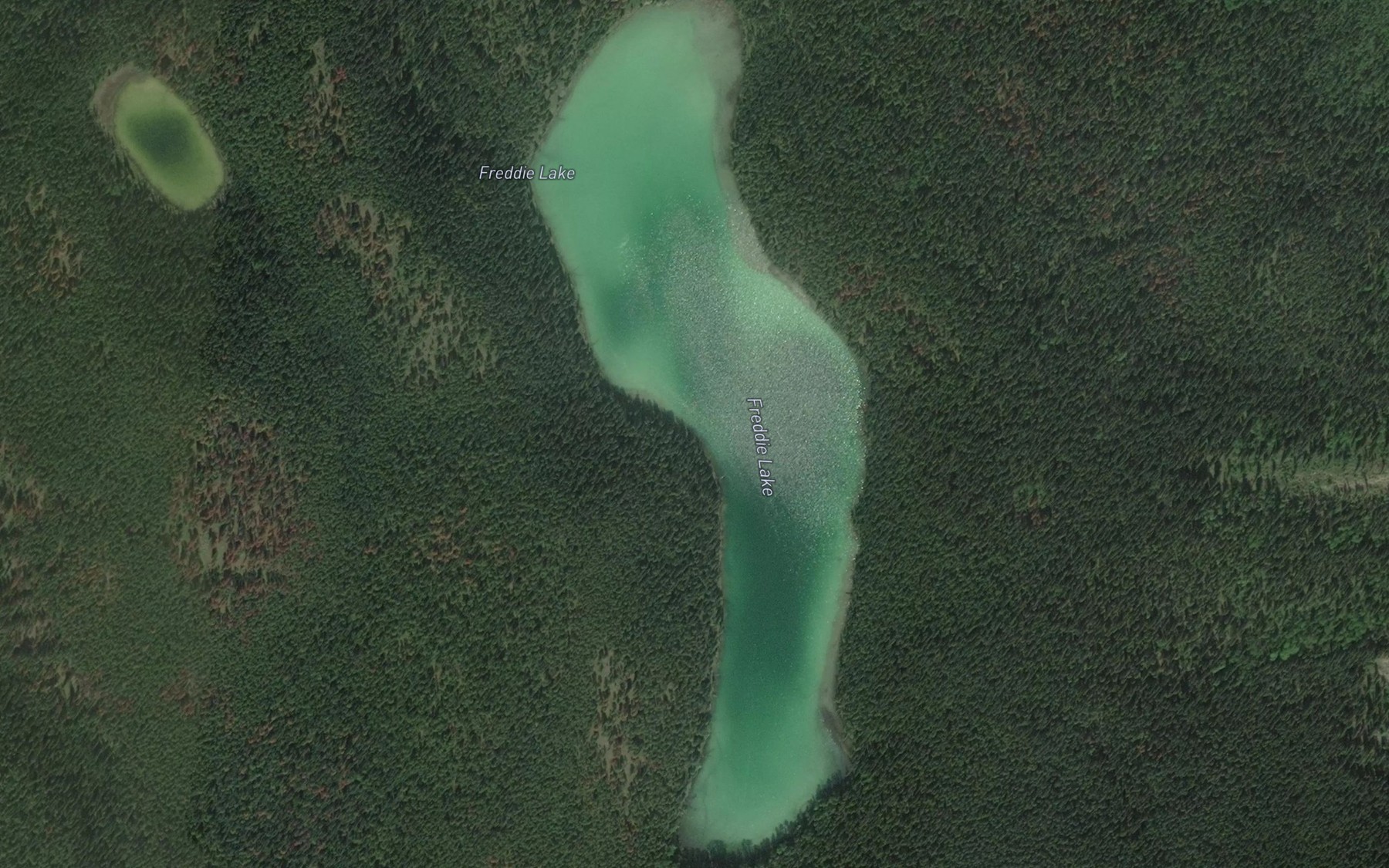 Satellite map of the Freddie Lake