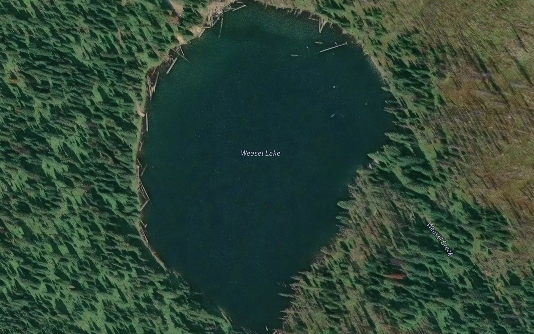 Satellite map of the Weasel Lake