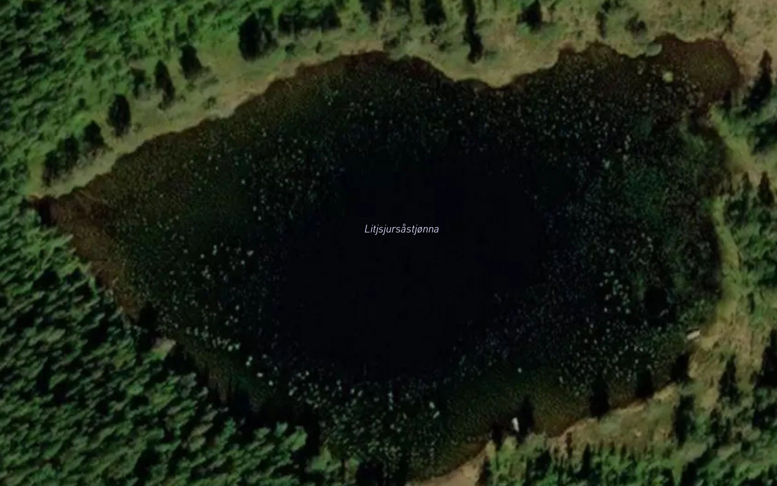 Litl-Sjurastjonna