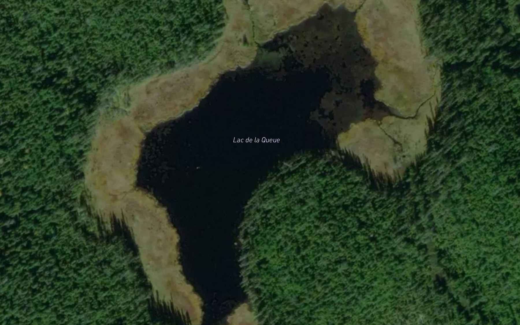 Satellite map of the Lac de la Queue