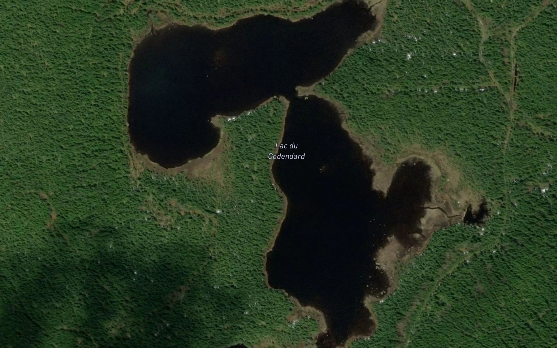 Satellite map of the Lac du Godendard