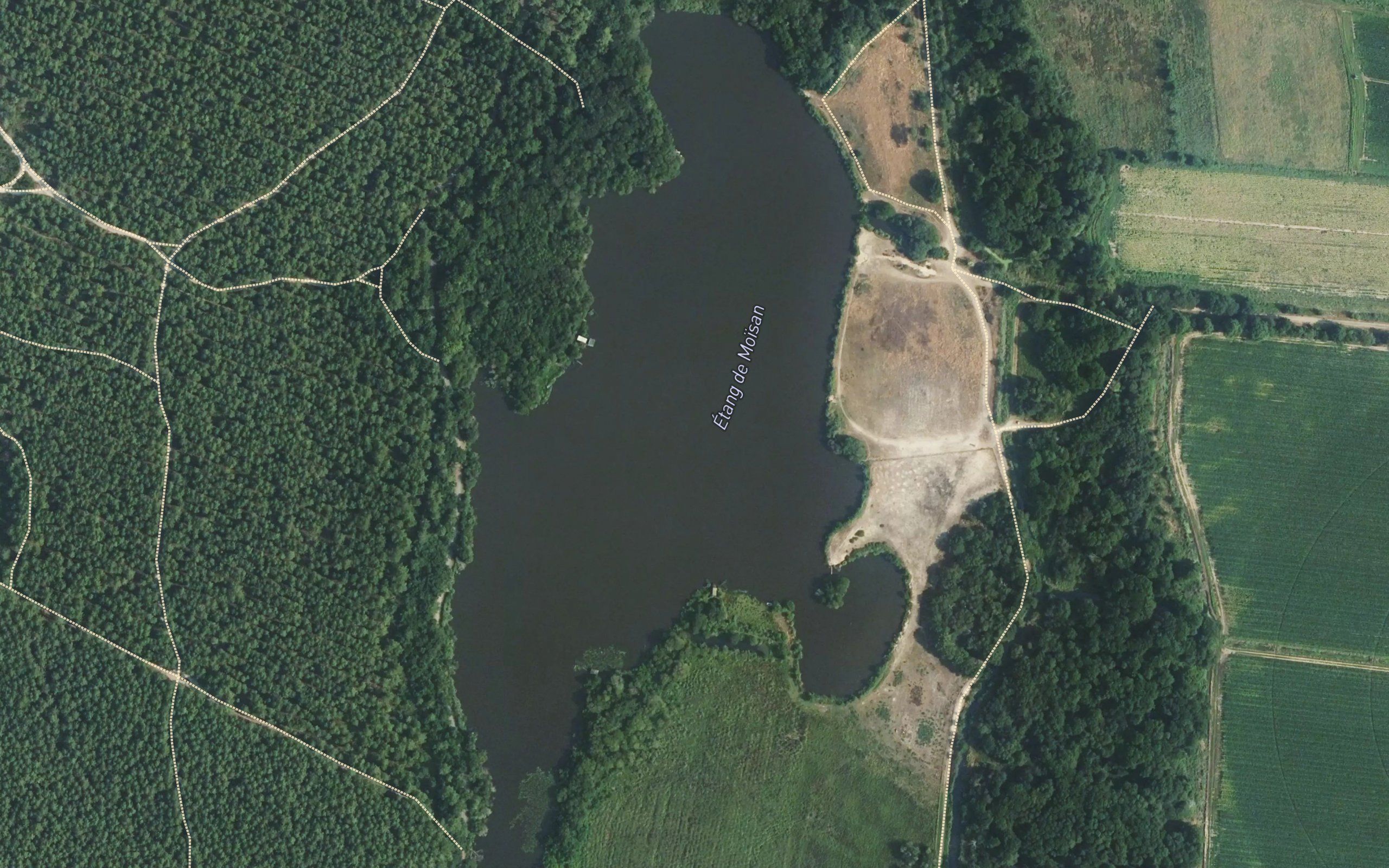 Etang de Moisan