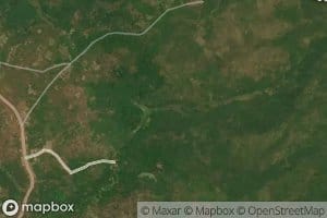 Mampa