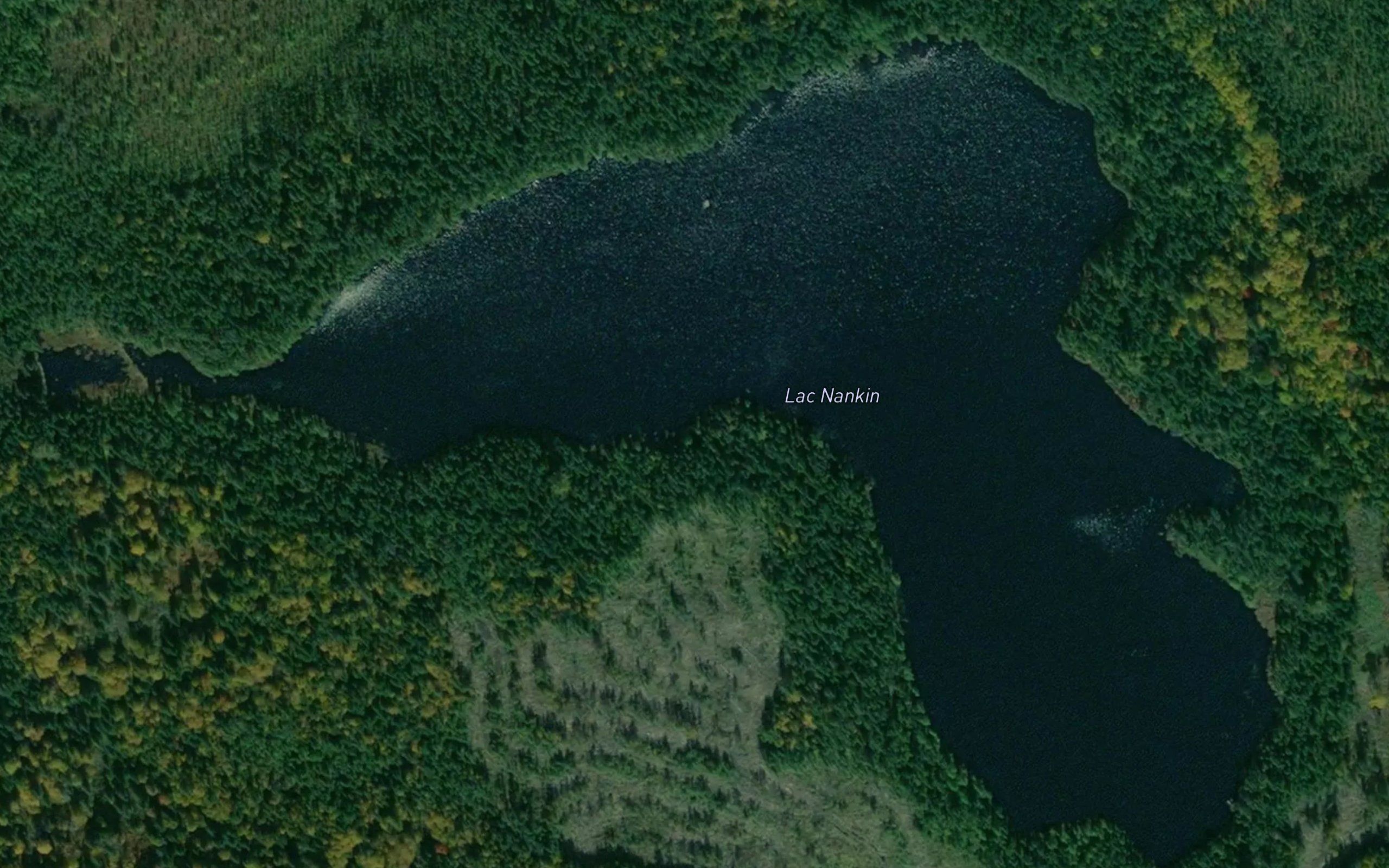 Lac Nankin