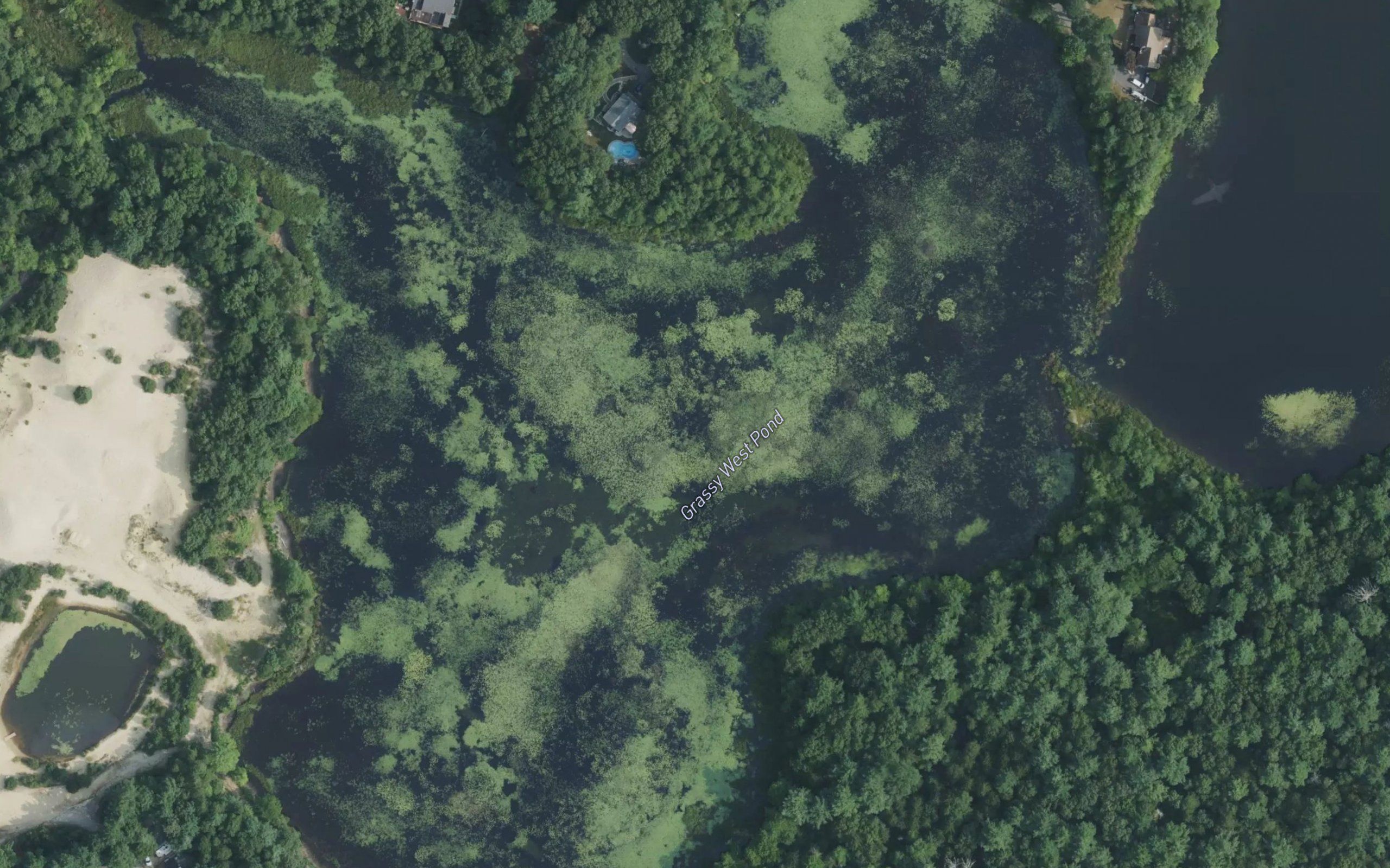 Grassy West Pond