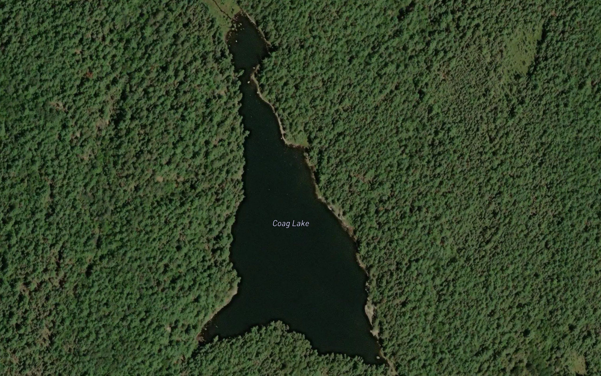 Coag Lake