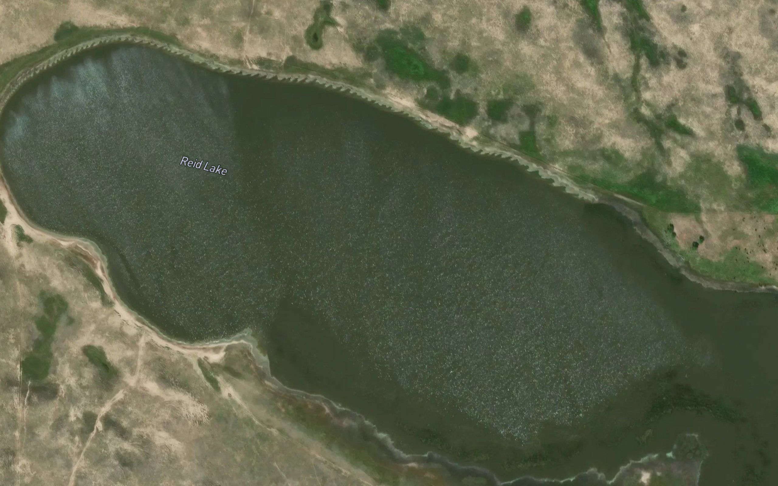 Reid Lake