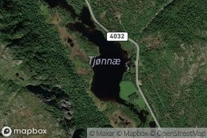 Tjonnae