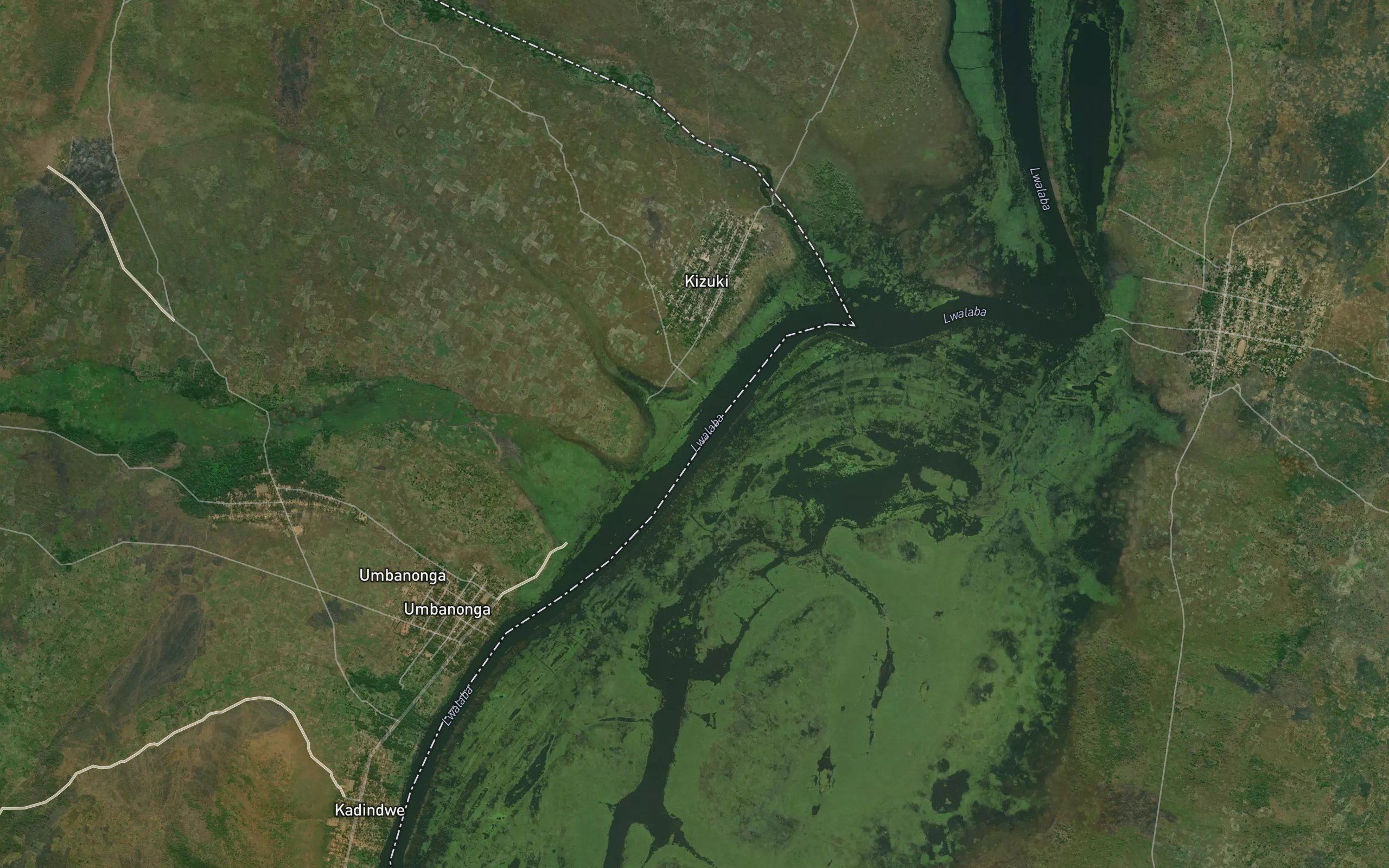 Longoi