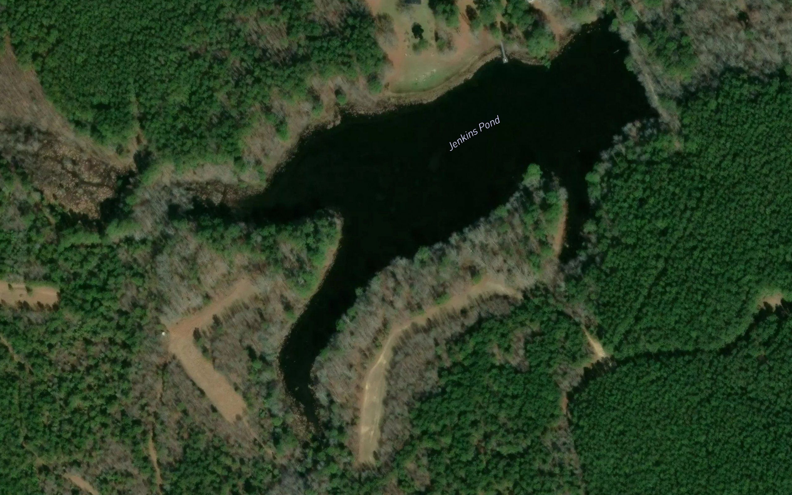 Jenkins Pond