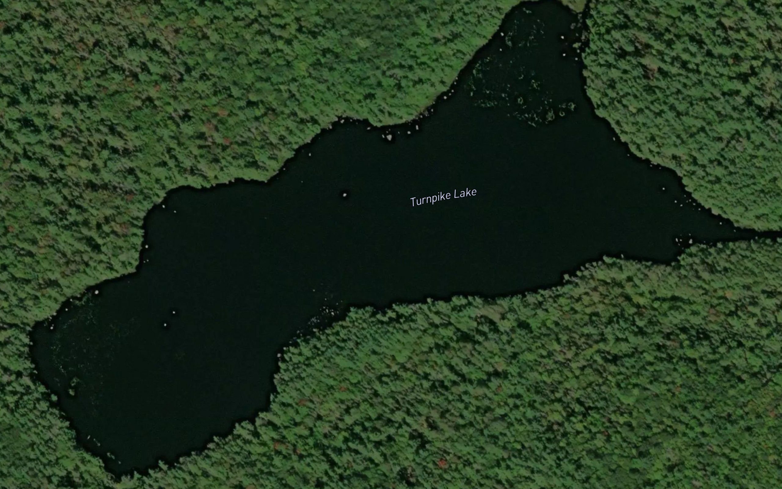 Turnpike Lake