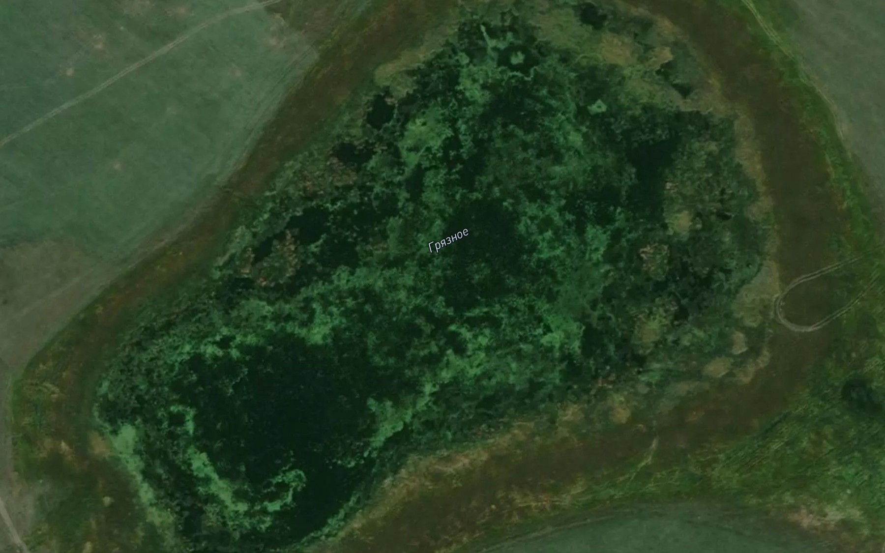 Satellite map of the Ozero Gryaznoye