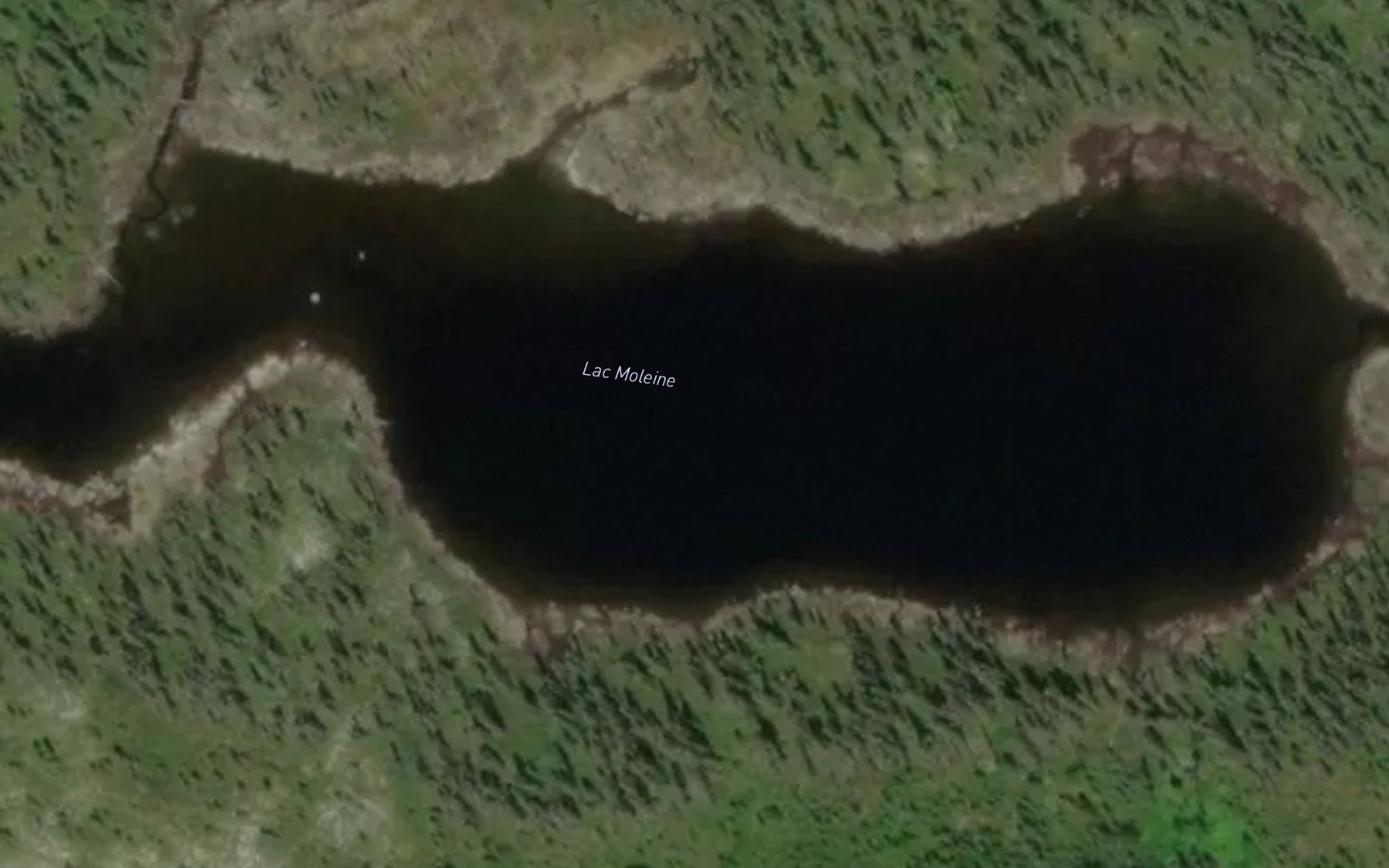 Satellite map of the Lac Moleine