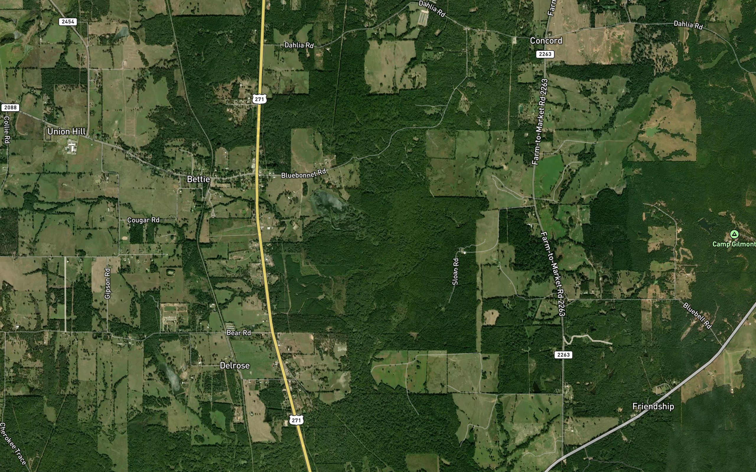 Blasingame Branch