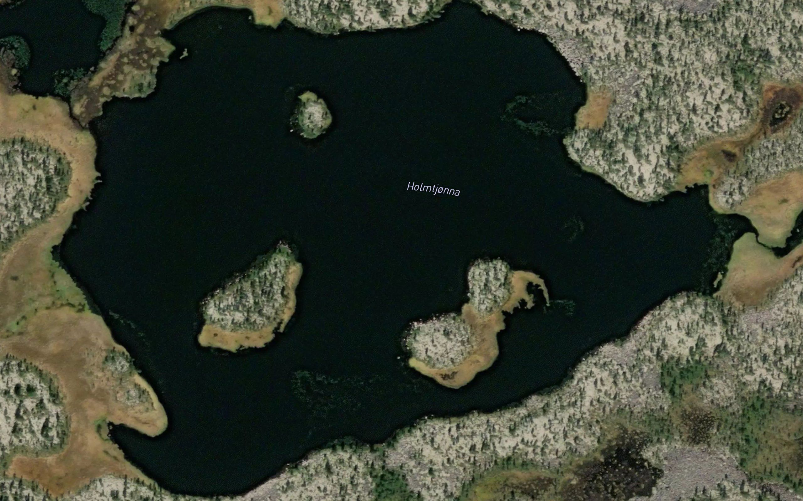Holmtjorna