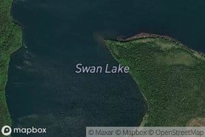 Swan Lake