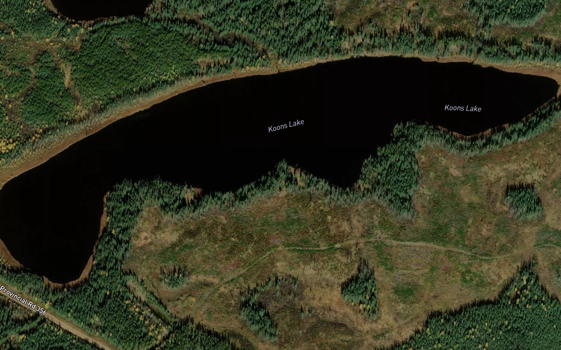 Satellite map of the Koons Lake