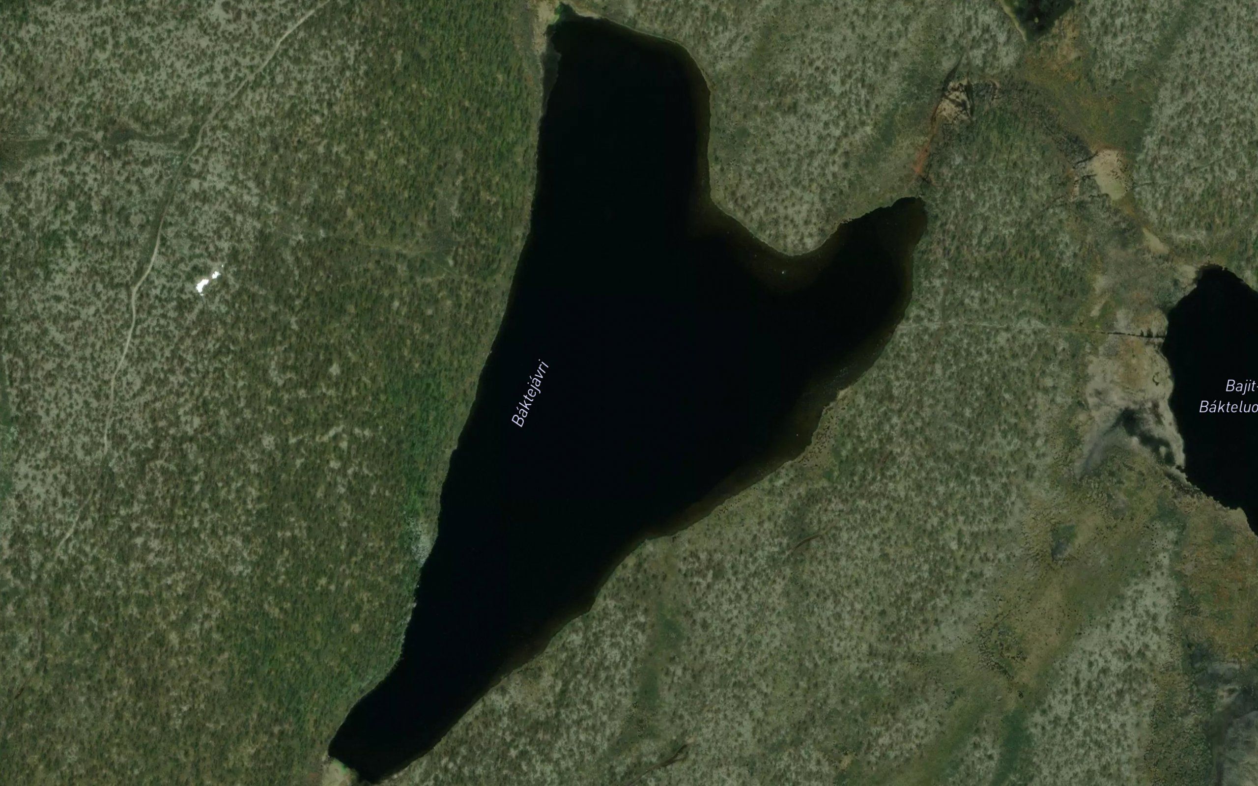 Baktejavri