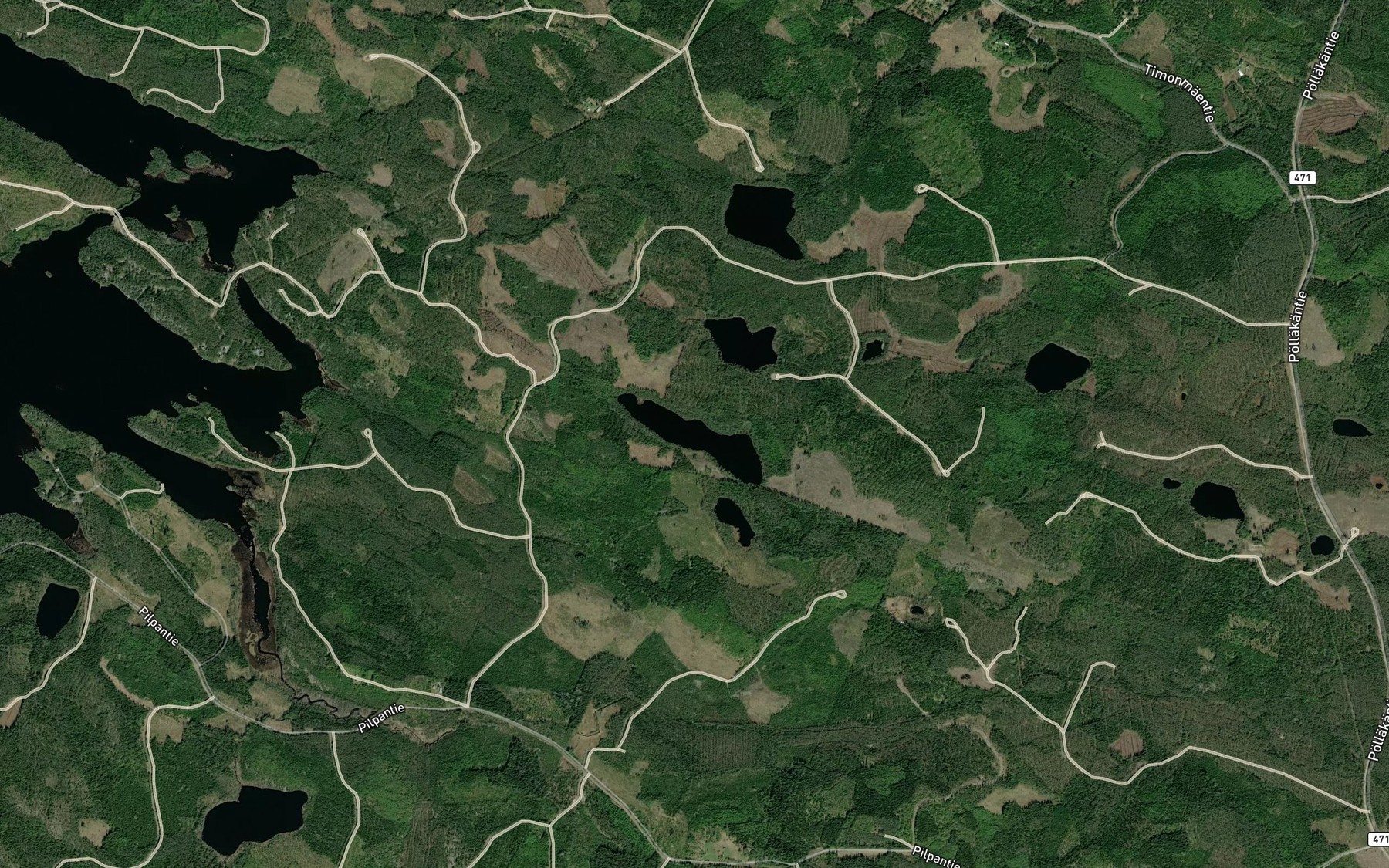 Satellite map of the Pitkalampi