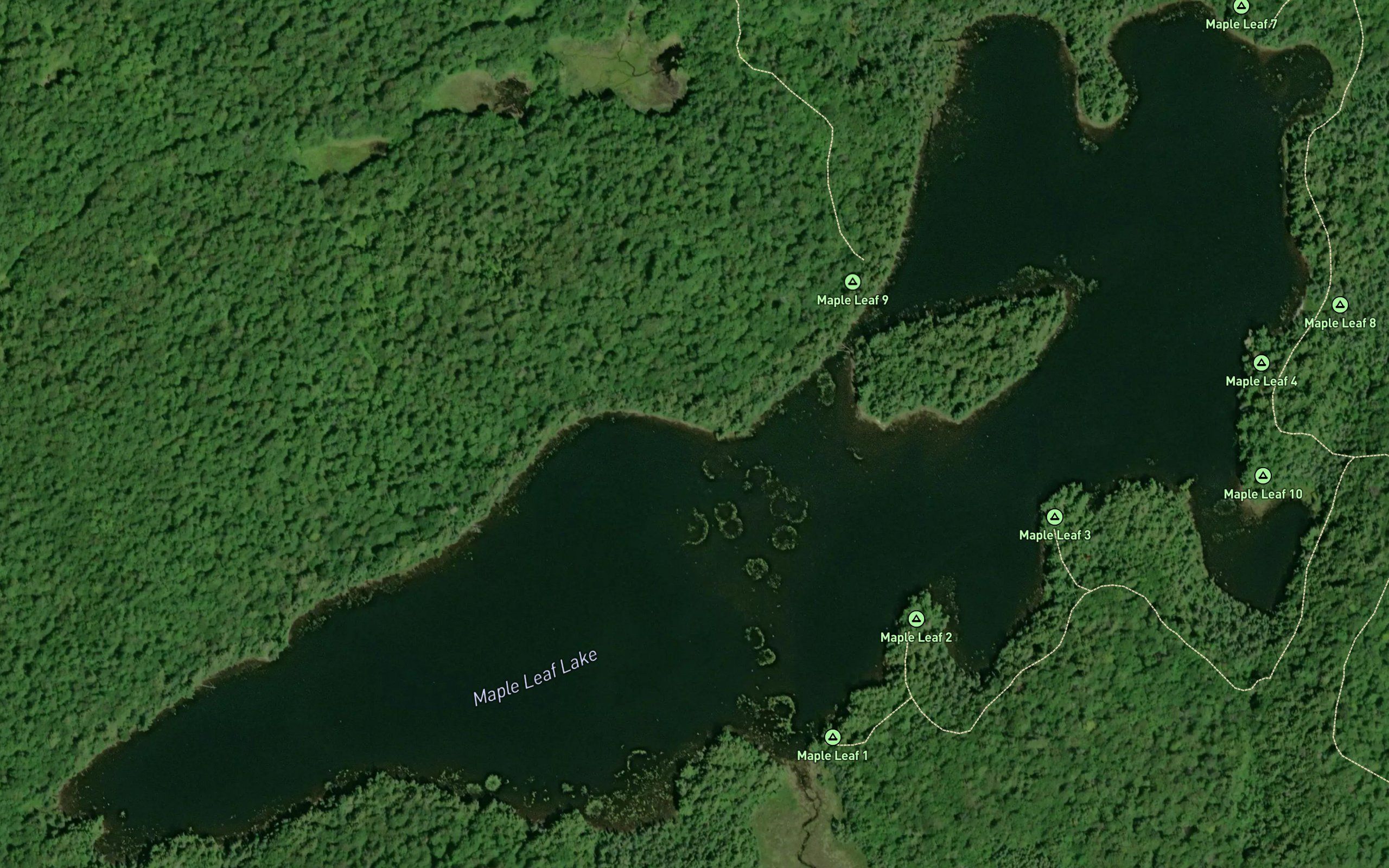 Maple Leaf Lake