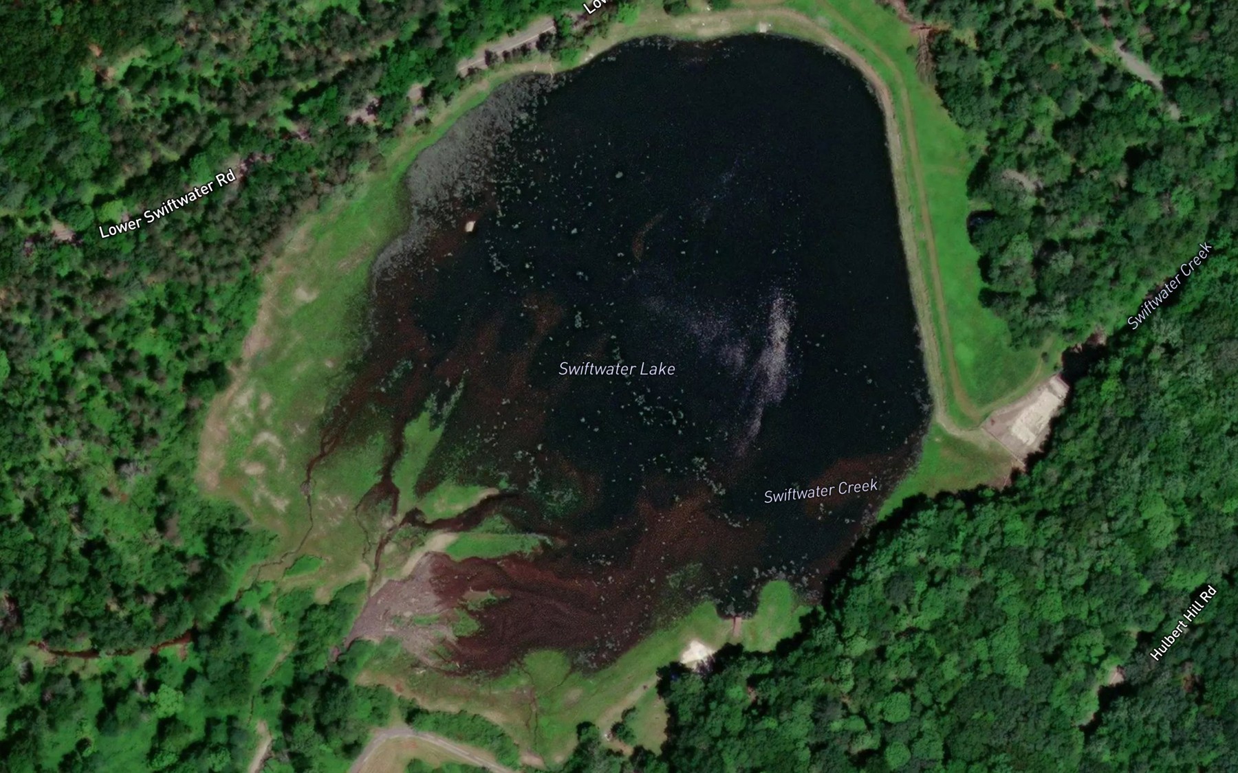 Satellite map of the Swiftwater Lake