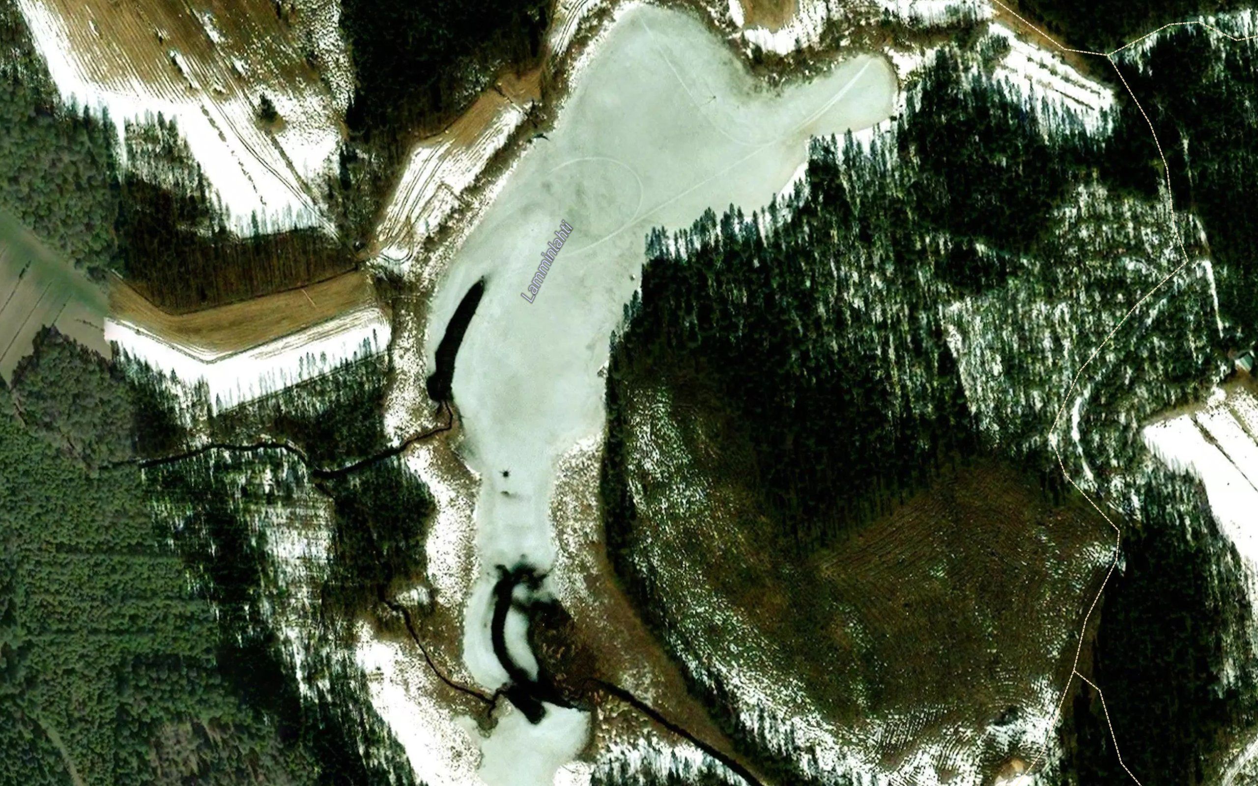 Lamminlahti