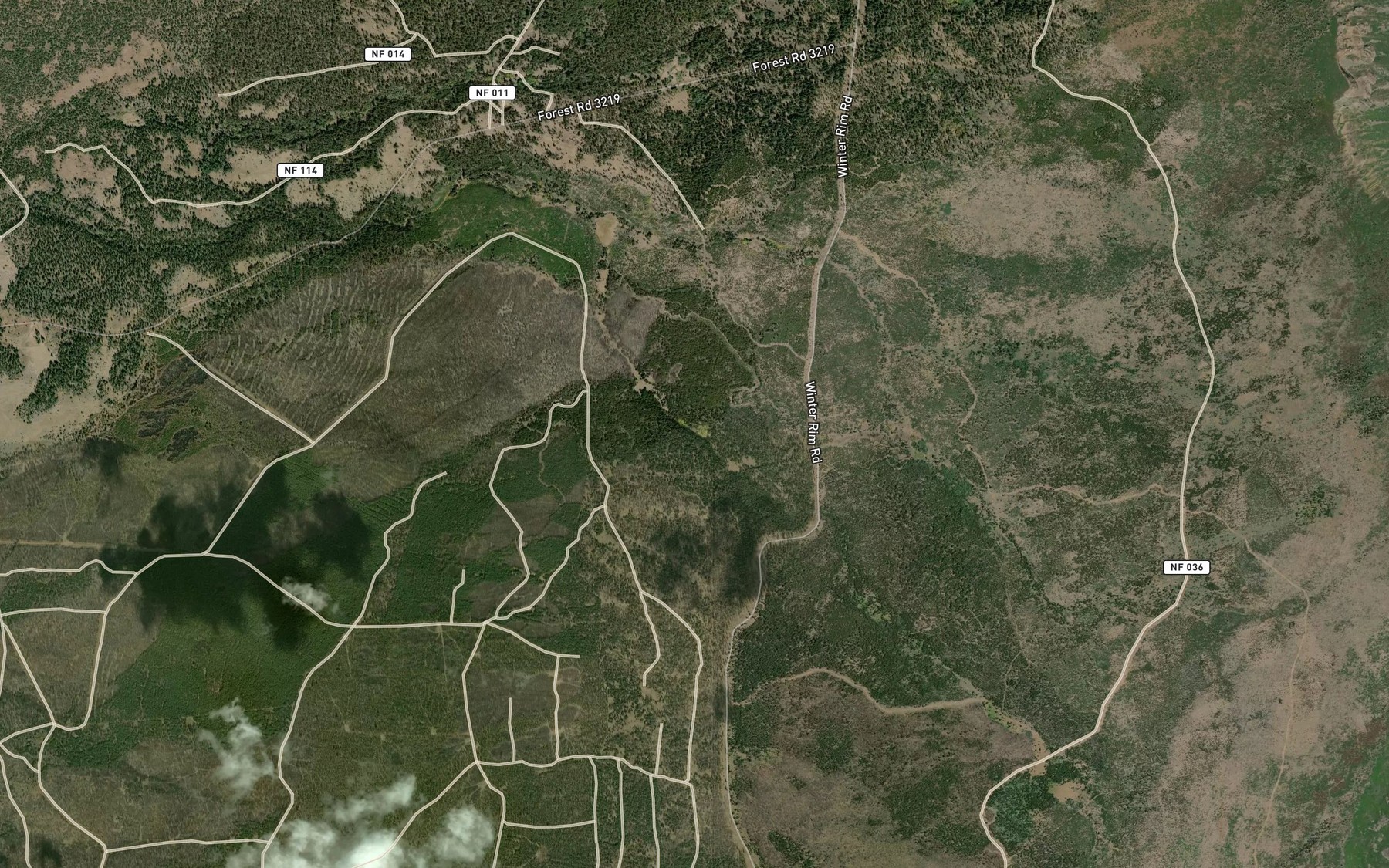 Satellite map of the Picture Tree Springs