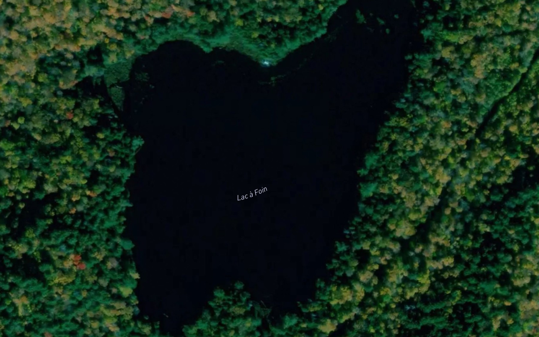 Satellite map of the Lac a Foin