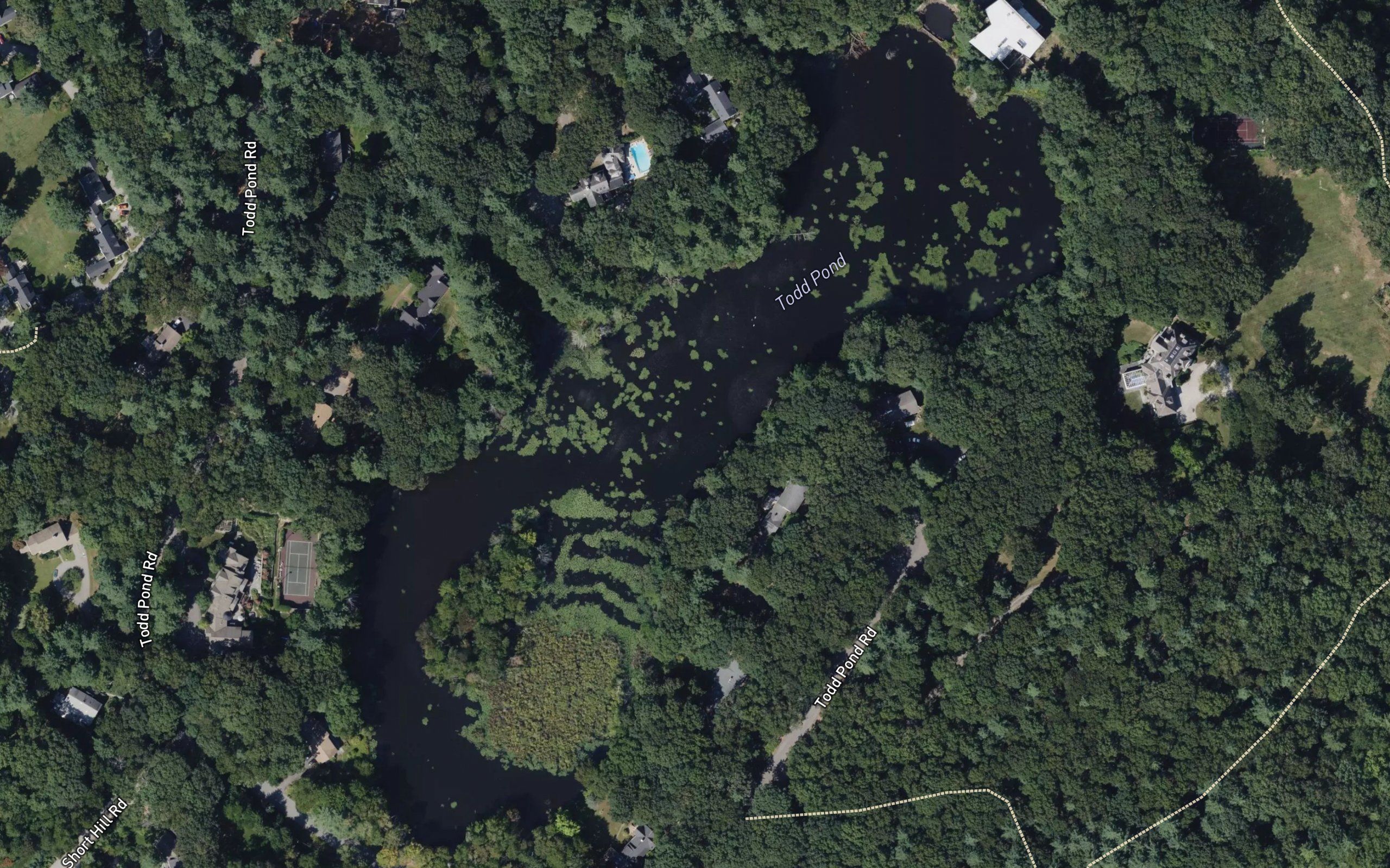 Todd Pond