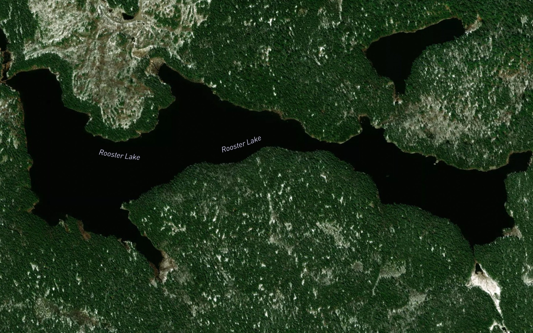 Satellite map of the Rooster Lake