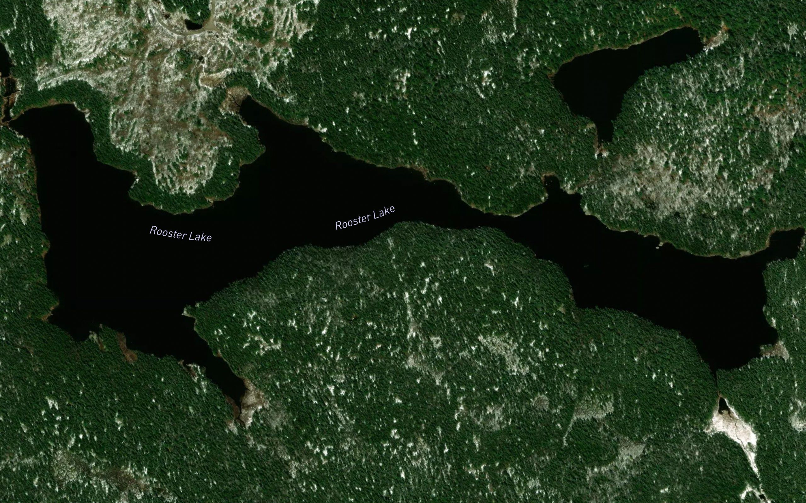 Rooster Lake