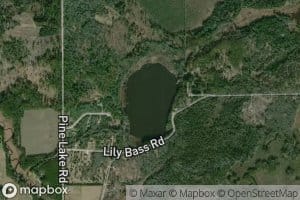 Lily Bass Lake