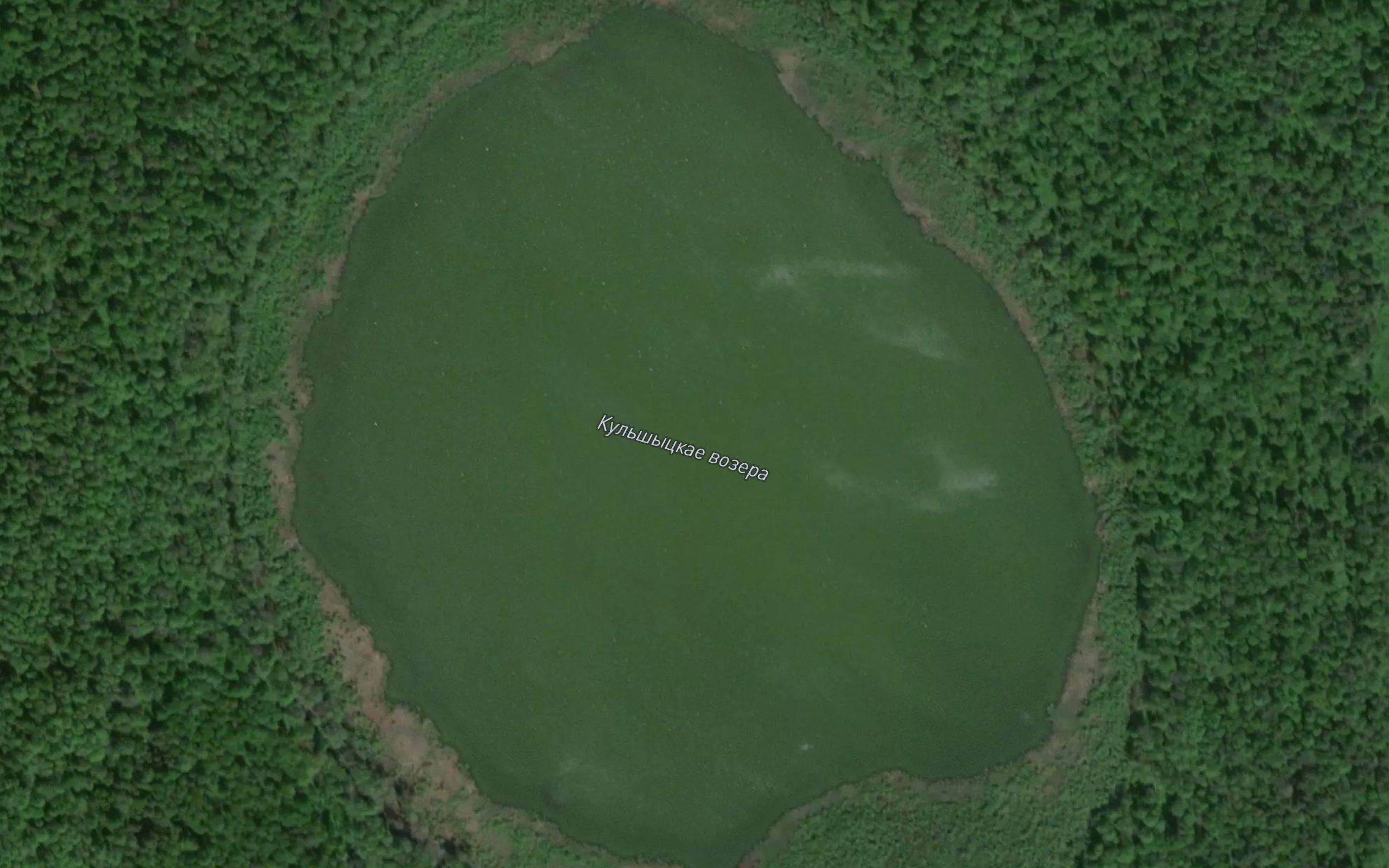 Ozero Kul'shicheskoye