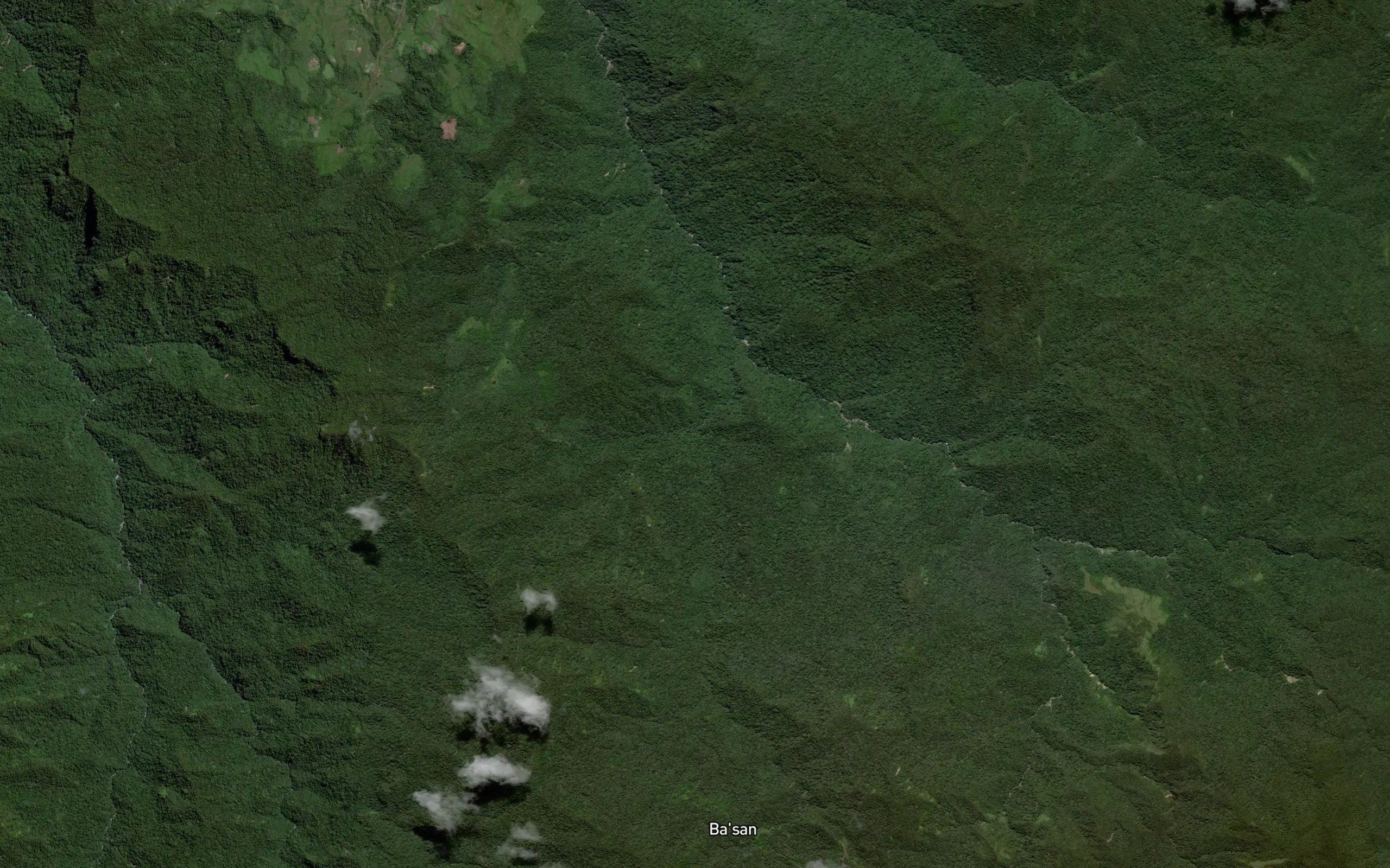 Salu Pallak