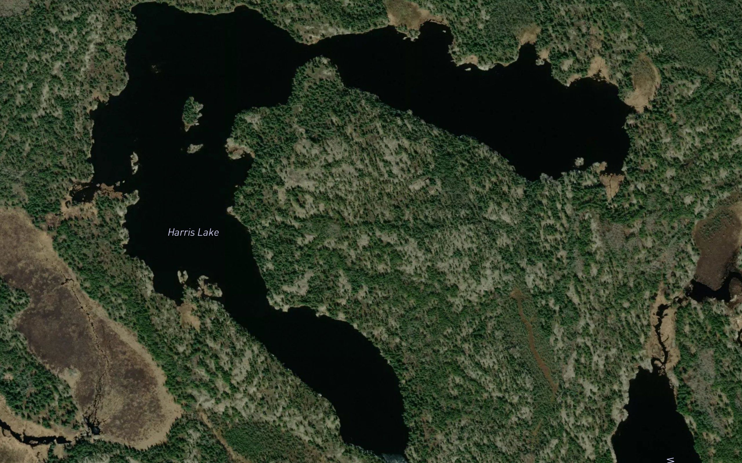 Harris Lake