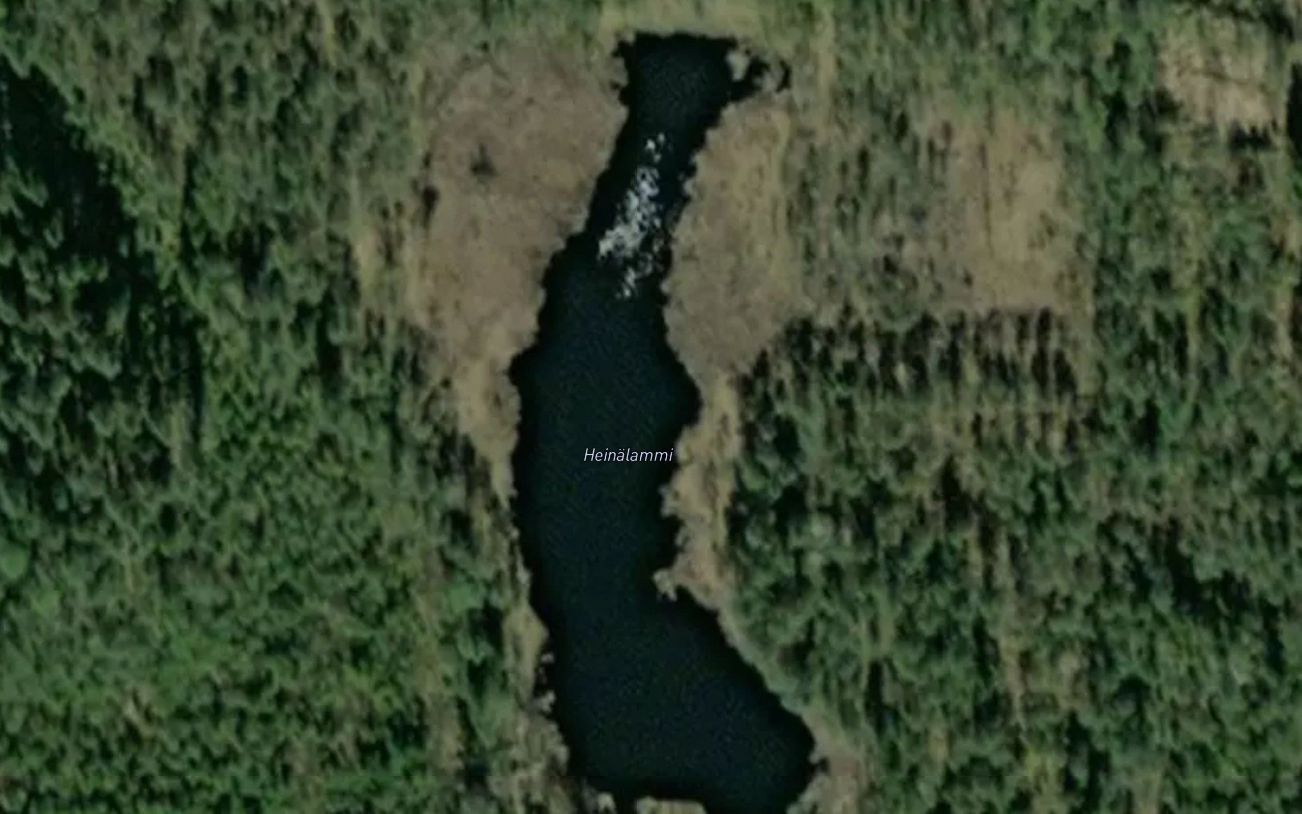 Heinalammi