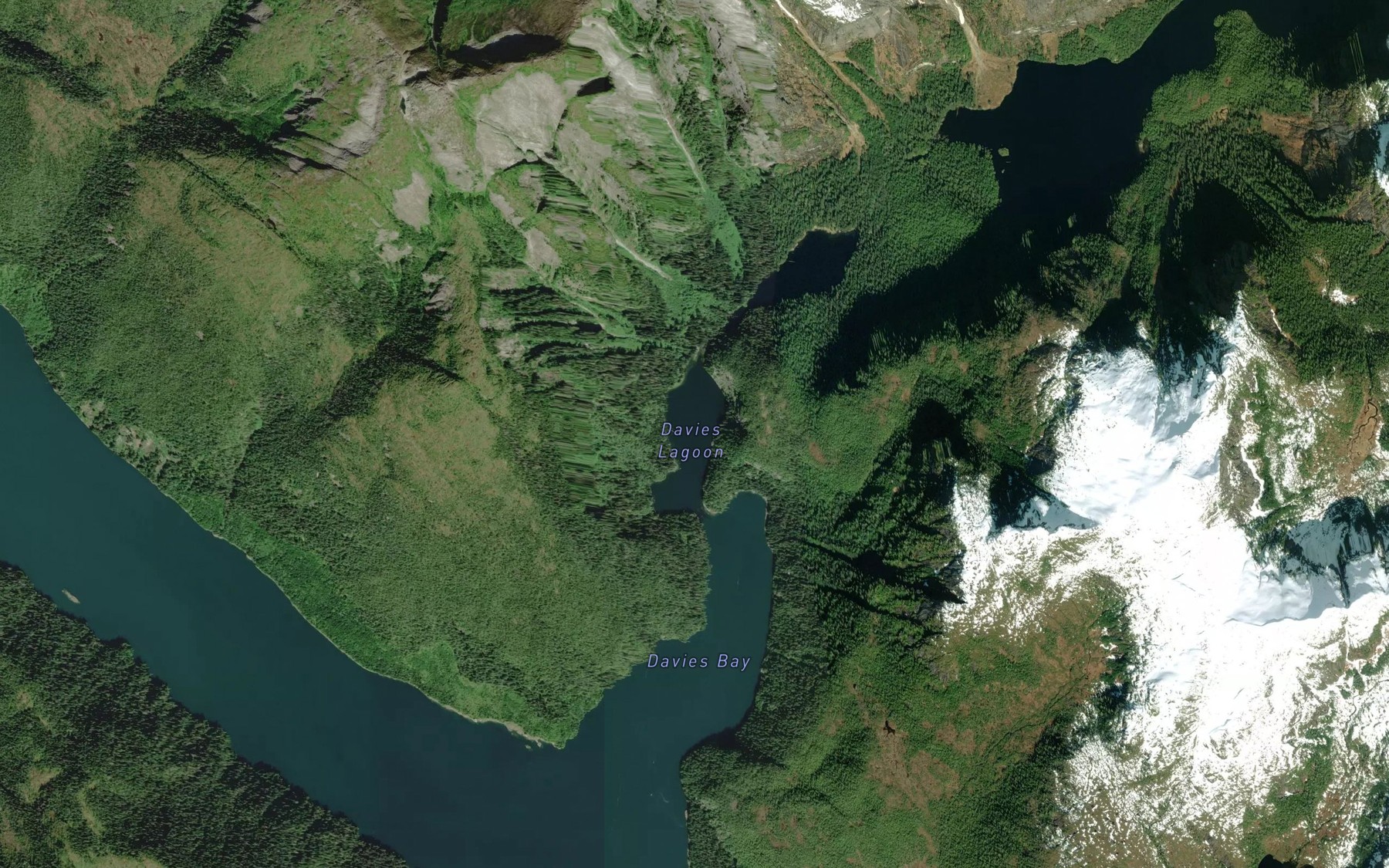 Satellite map of the Davies Lagoon