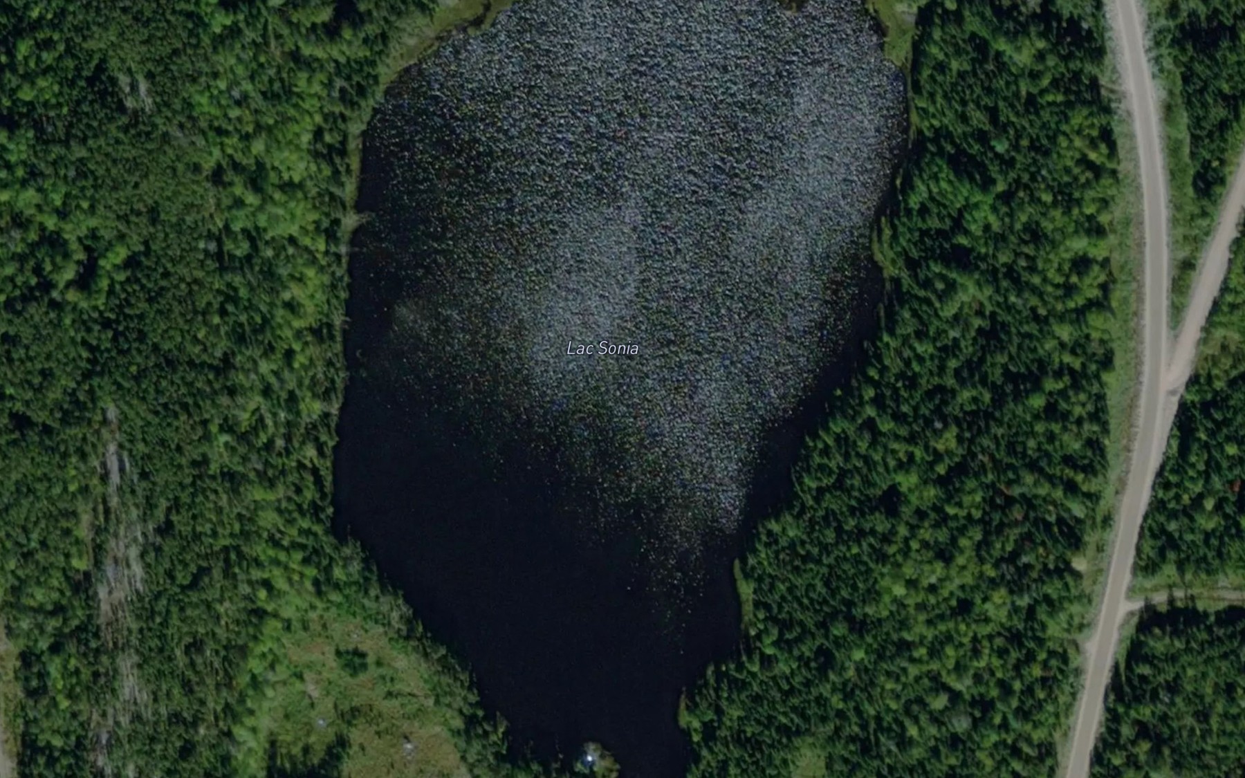 Satellite map of the Lac Sonia