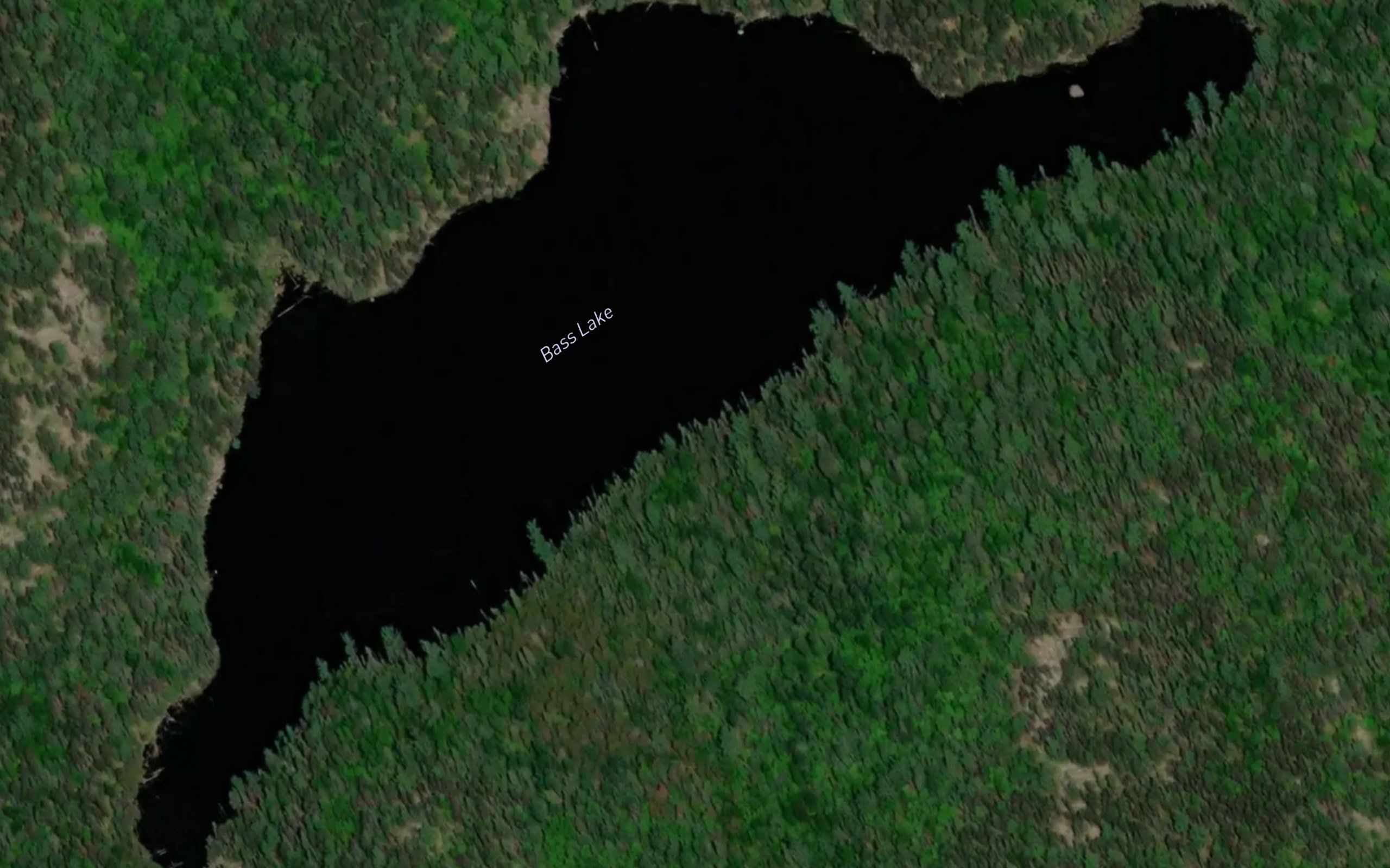 Bass Lake