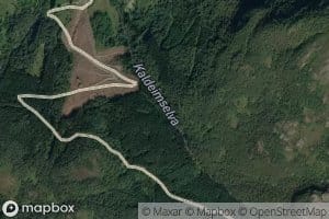 Kaldeimselva