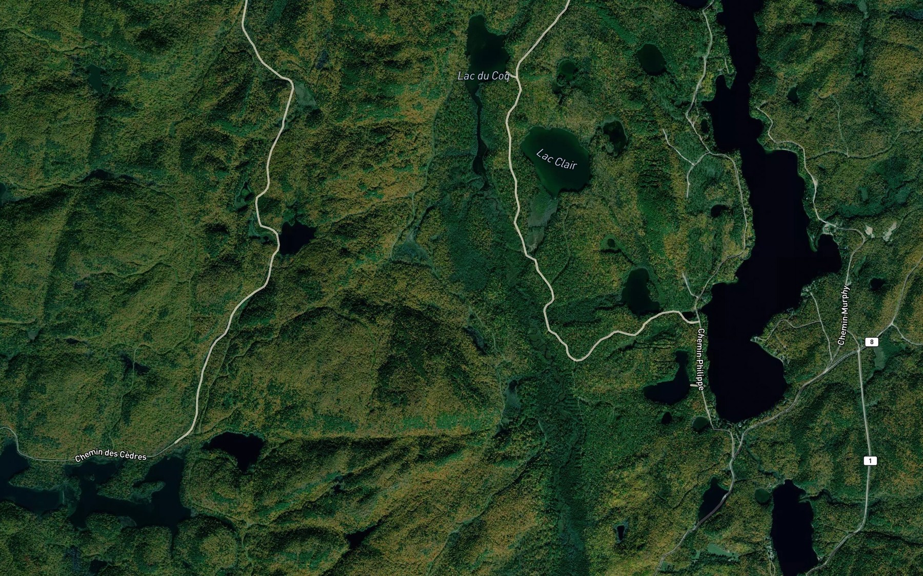 Satellite map of the Lac McCarty