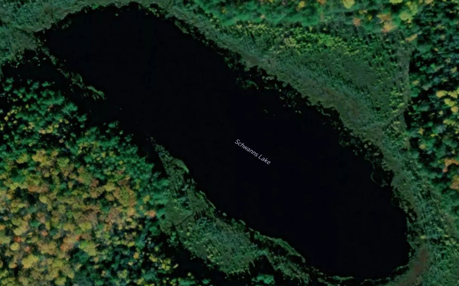 Satellite map of the Schwanns Lake