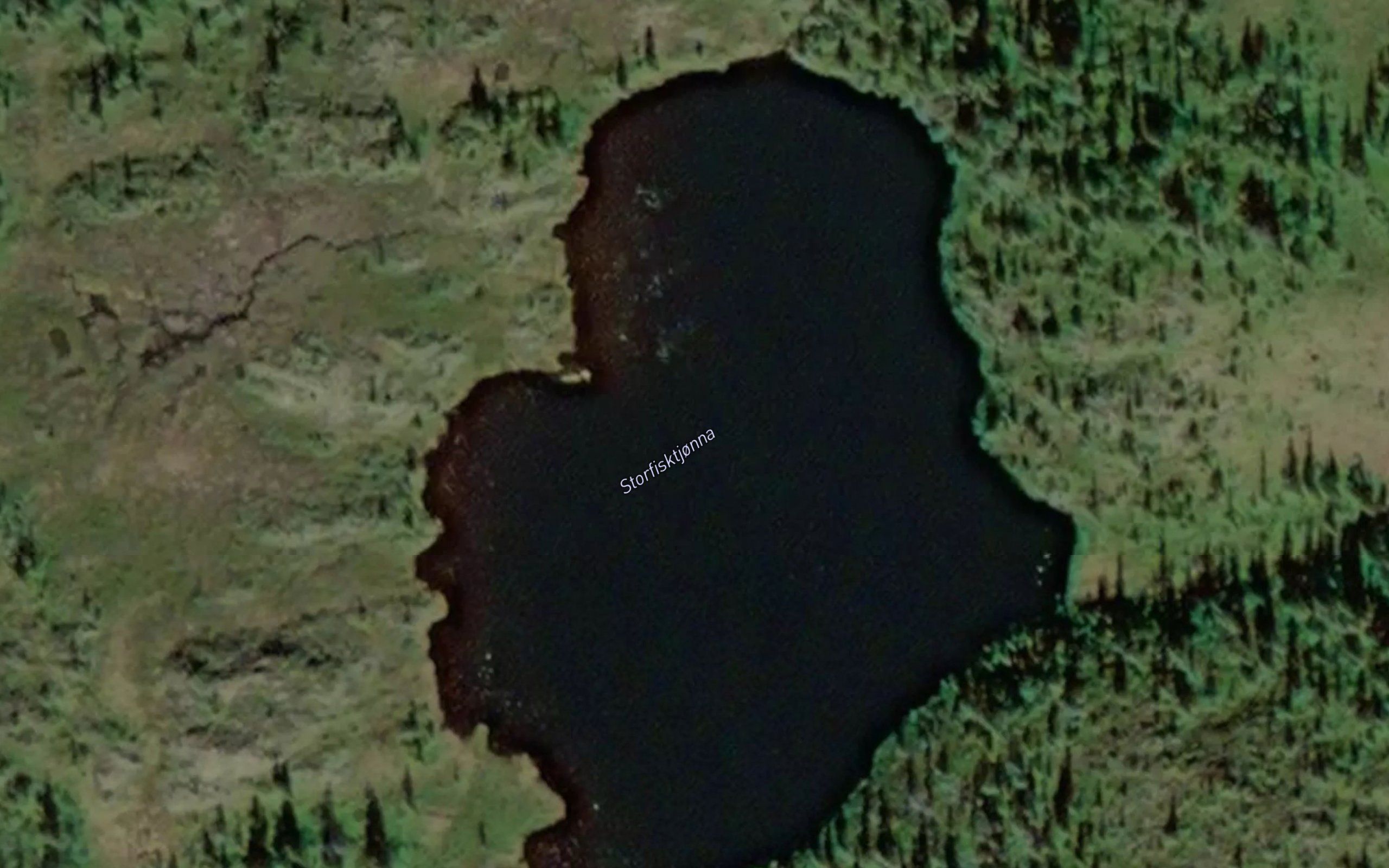 Storfisktjorna