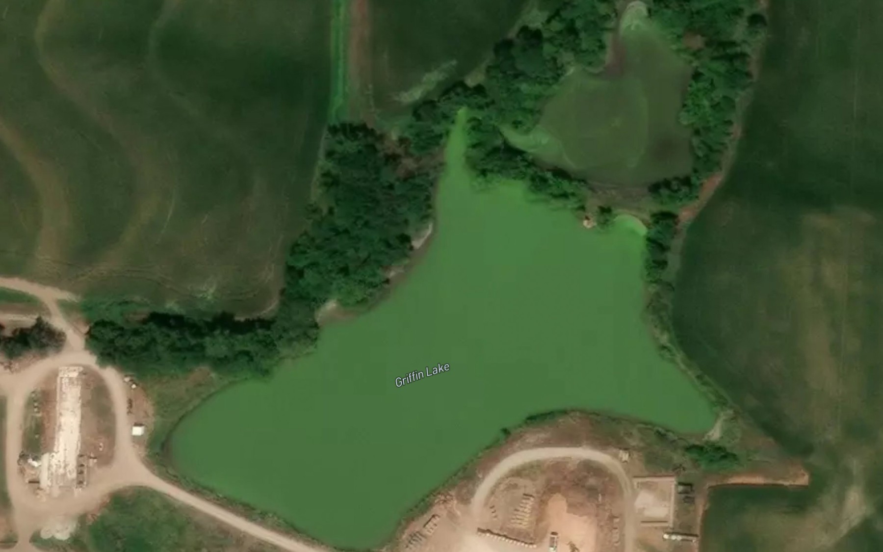 Satellite map of the Griffin Lake